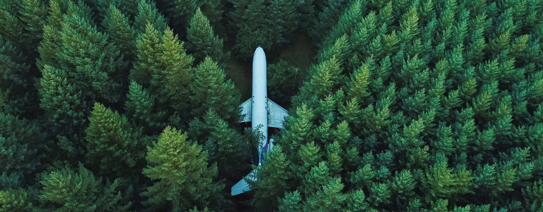 Passenger aircraft seen from above flying over a pine forest
